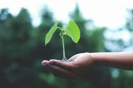 Abundance, Prosperity & Mentality: Tips To Achieve Your Desires Abundance, Prosperity & Mentality